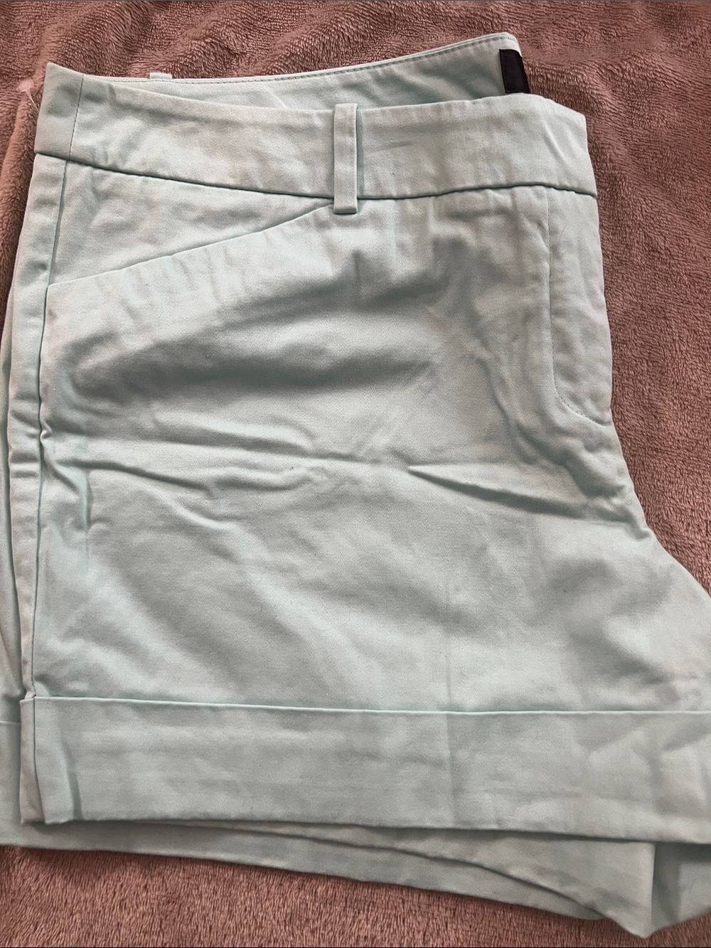 Mossimo Supply Co. Light Blue Women's Bermuda Shorts